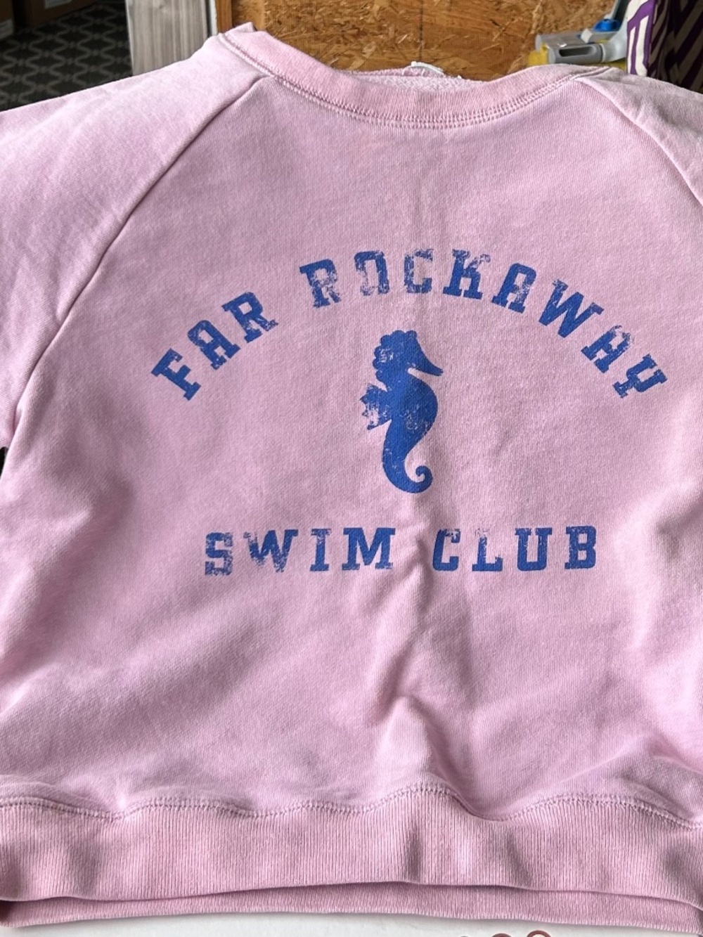 J Crew Crew Cuts Girl's Sweatshirt Swim Club XL